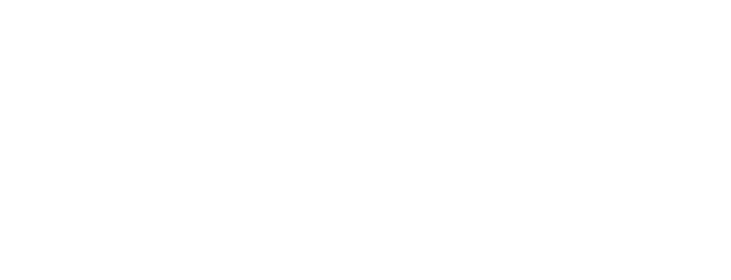 Virtual Elves Logo